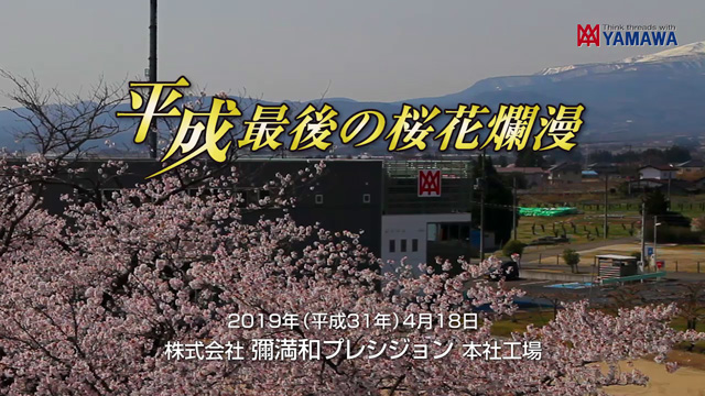 平成最後の桜花爛漫