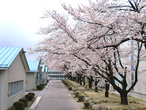 社内ツアー