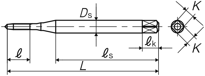 TNMP1.2B5